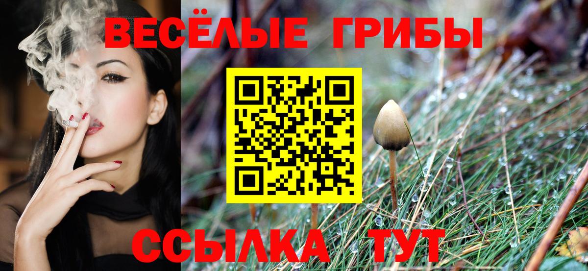 что такое наркотик  Вход с VPN  Тамбов  Псилоцибиновые грибы мицелий 